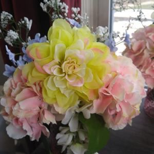 Meet your Posher, Kim